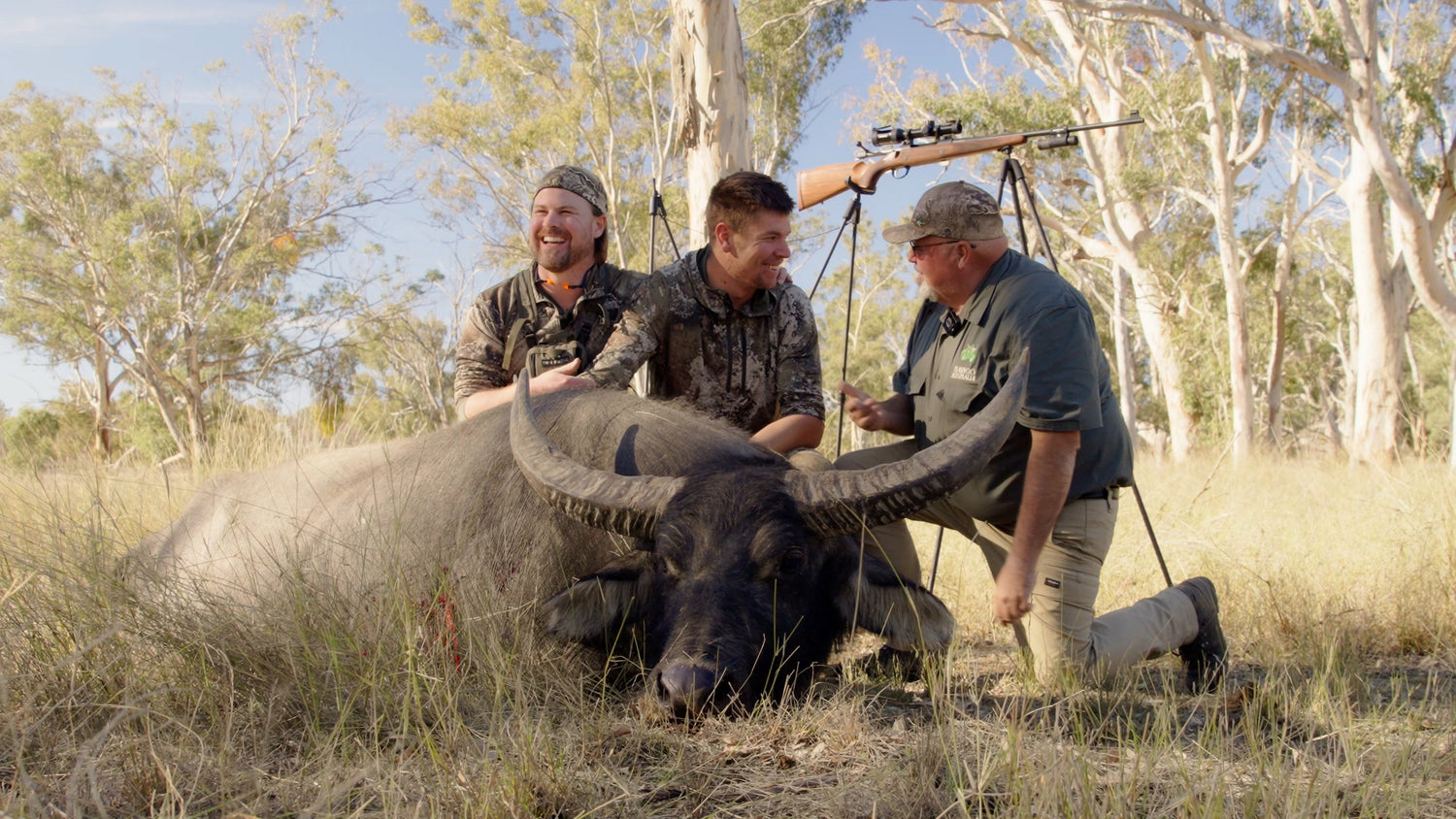 Stopping a Rogue Buffalo in Queensland