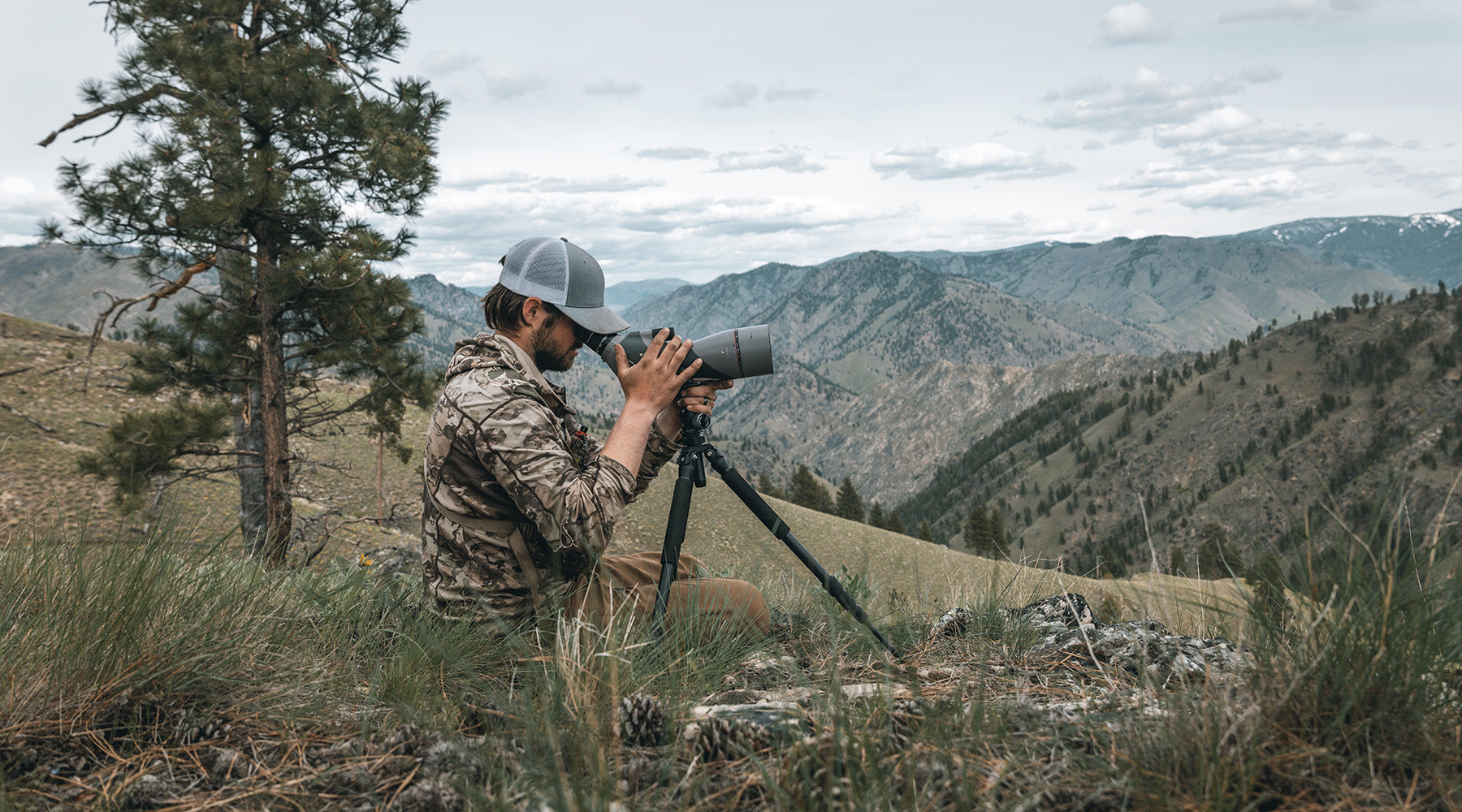 The Swiss Army Knife of Bear Hunting: Why Tripods Are a Must-Have Tool