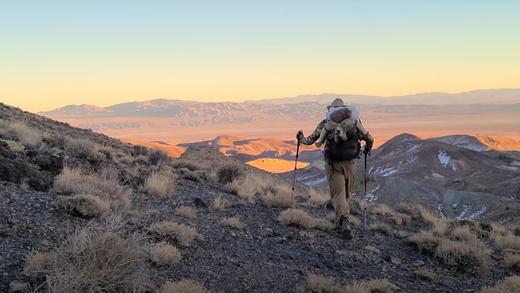 Nevada Desert Bighorn Sheep Hunt 2020