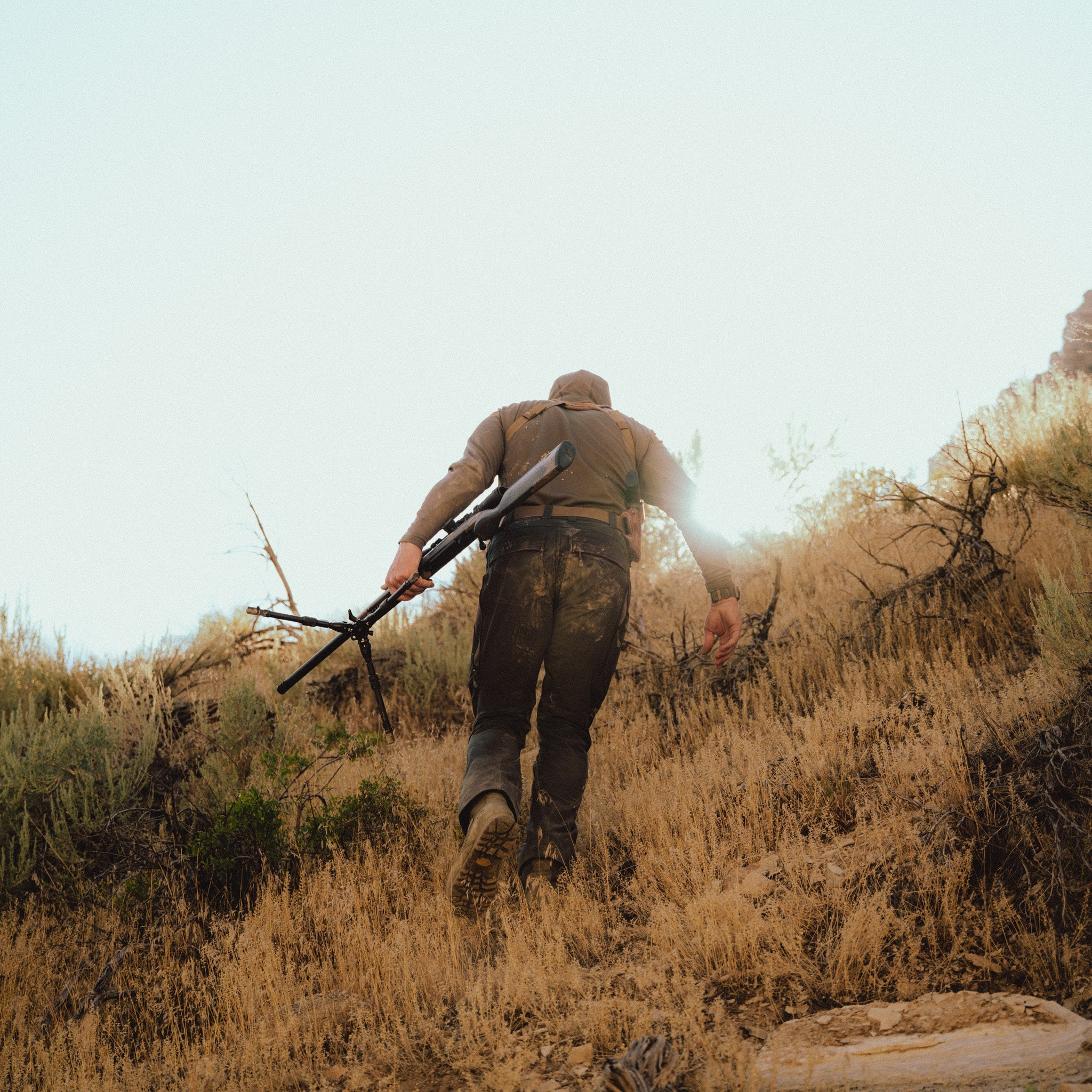 Portable Tripods