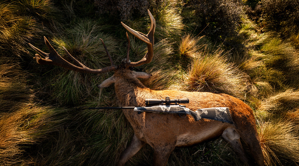 Chasing a Red Stag with JE Wilds