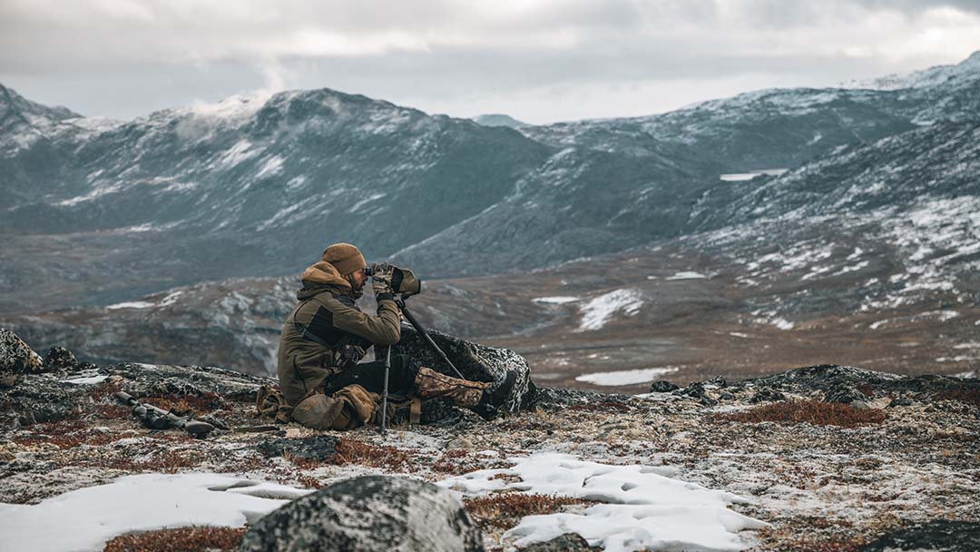 Greenland Caribou - Will O'Meara