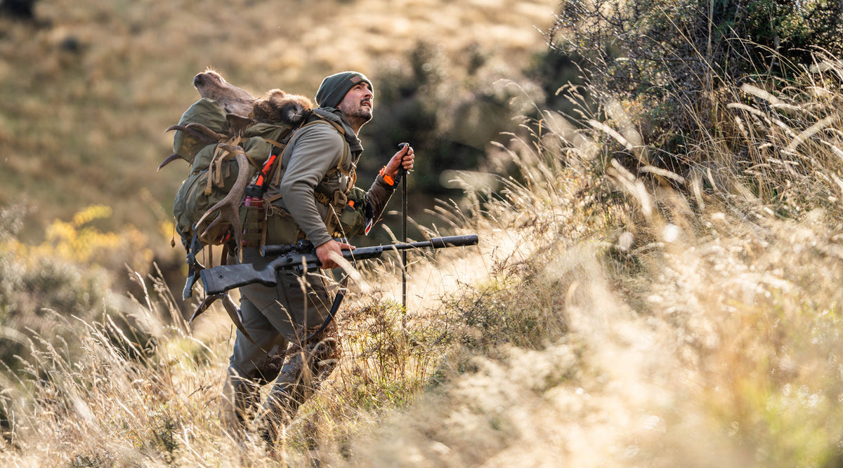 Four Days for One Shot: Hunting Red Stags in New Zealand