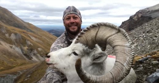Alaska Dall Sheep & Moose Hunt