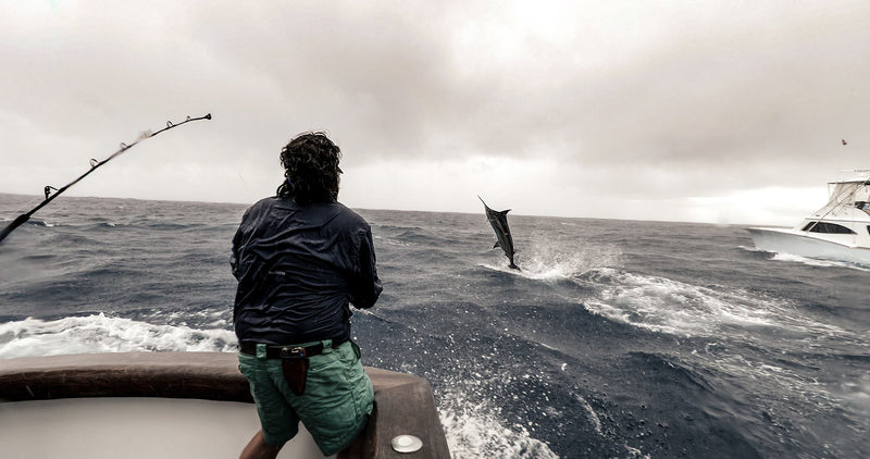 Carter Andrews Cover