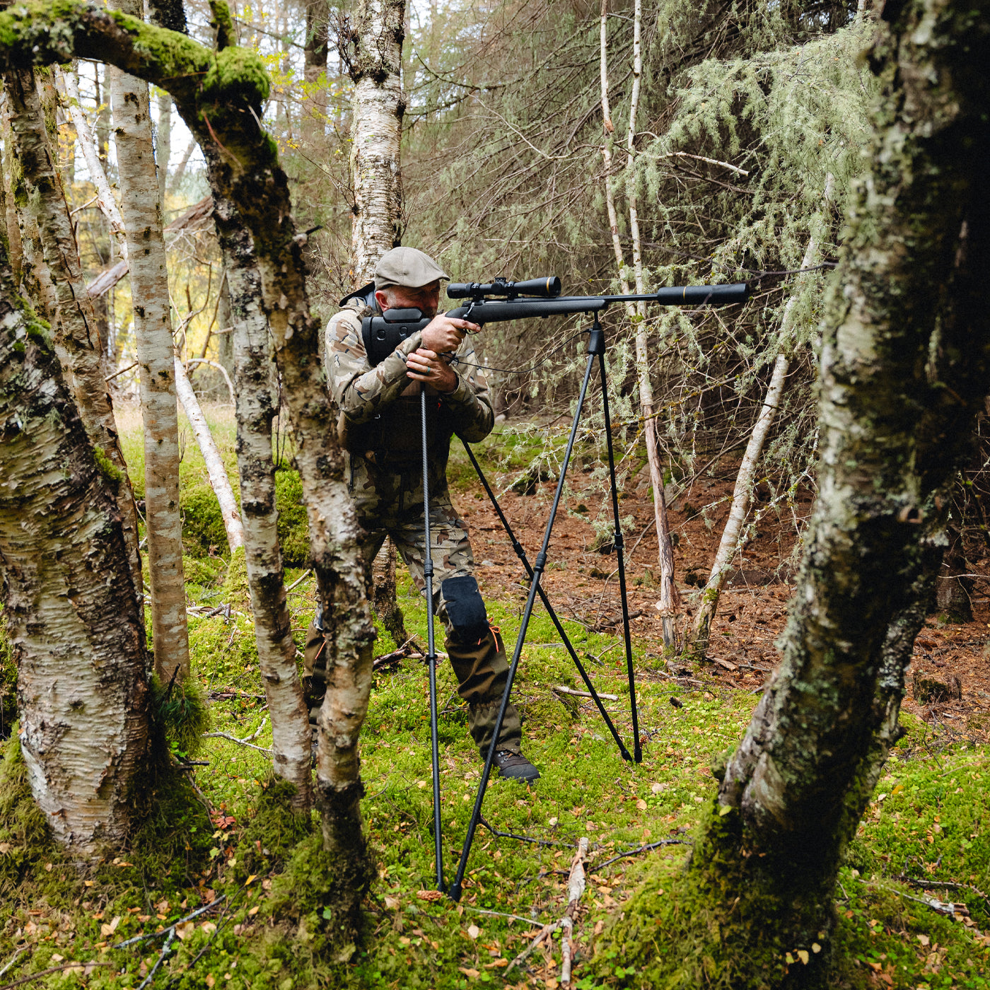 SpringBok Quad Sticks