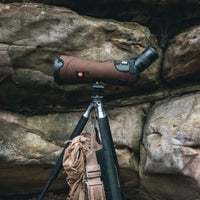 Sentinel Tripod Hook