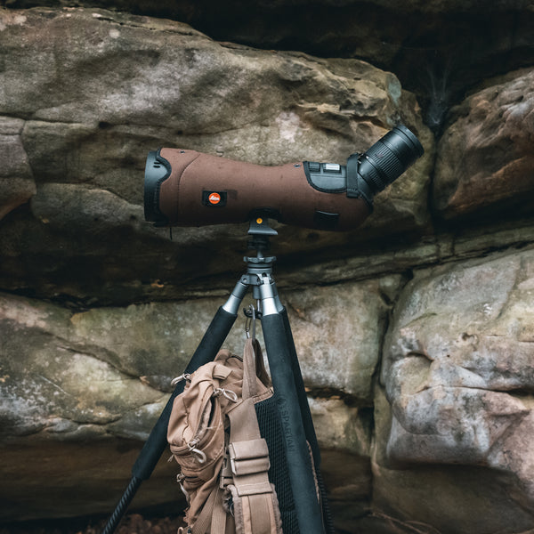 Sentinel Tripod Hook